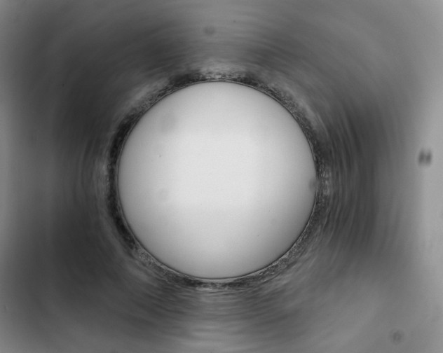 X0000102820690200808181025