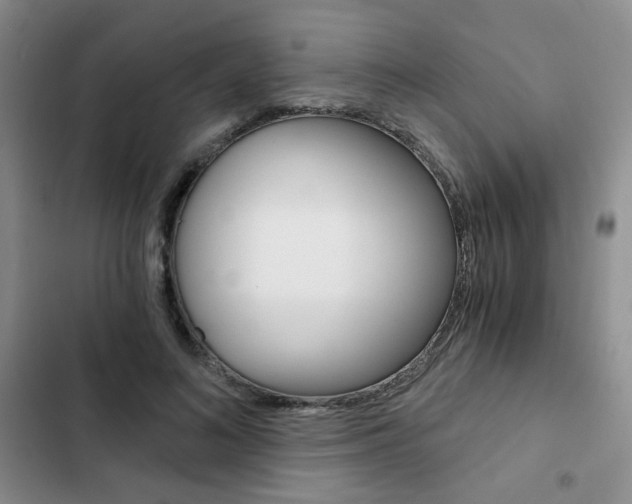 X0000102820692200808181025
