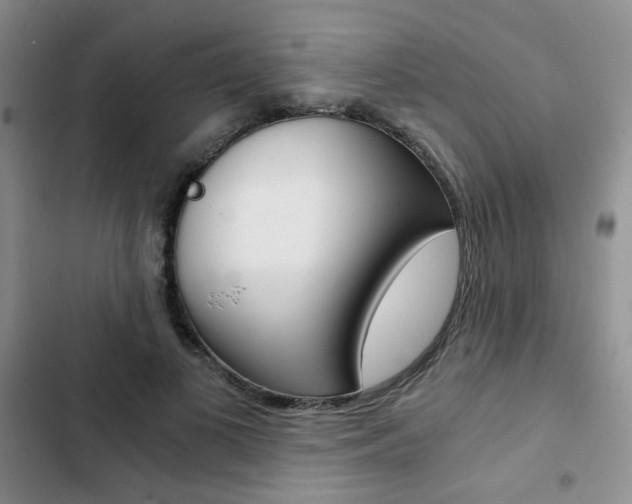 X0000102820693200808181025