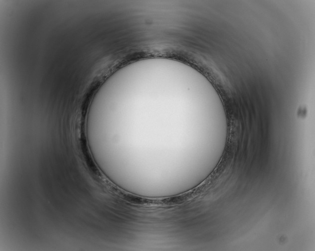 X0000102820694200808181025