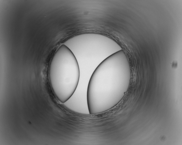 X0000102820695200808181025