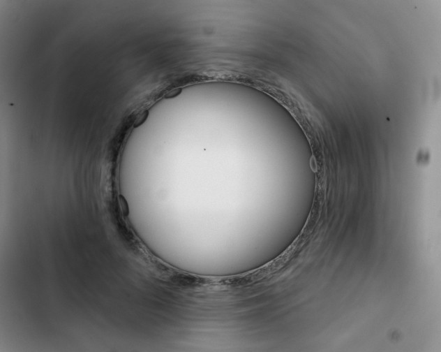 X0000102820696200808181025