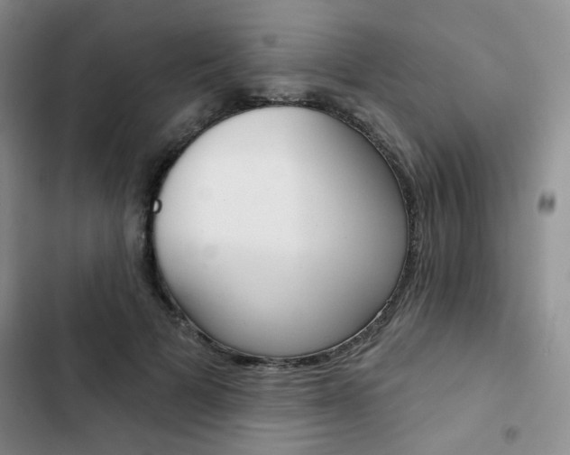 X0000102820697200808181025