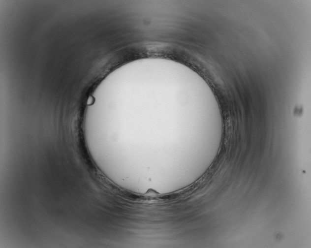 X0000102820698200808181025