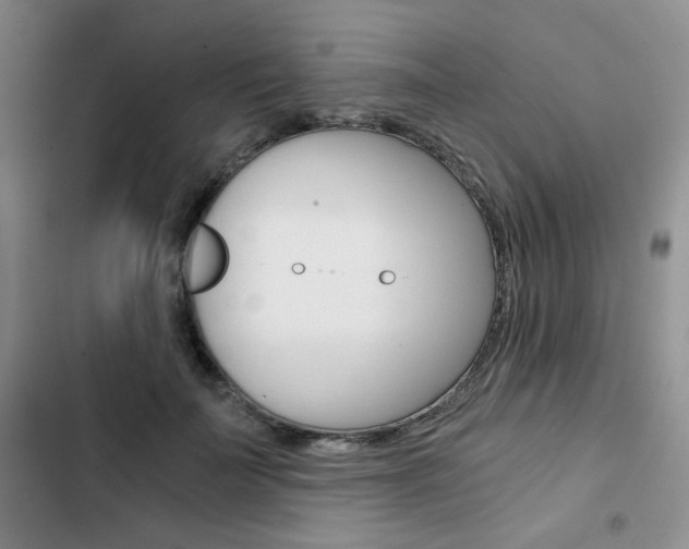 X0000102820699200808181025
