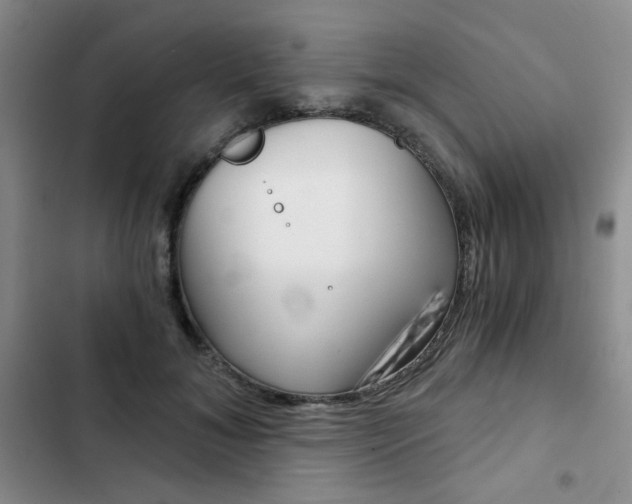 X0000102820700200808181025