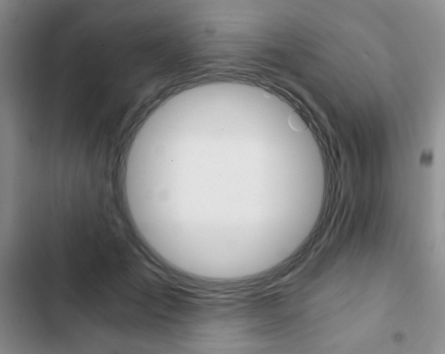 X0000102820701200808181025