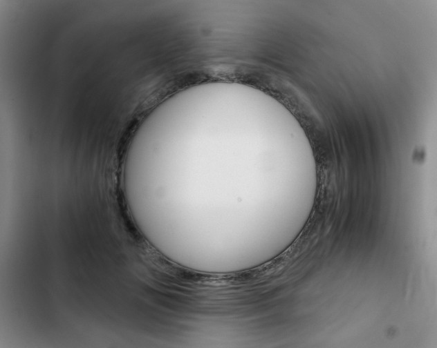 X0000102820702200808181025