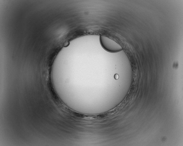 X0000102820703200808181025