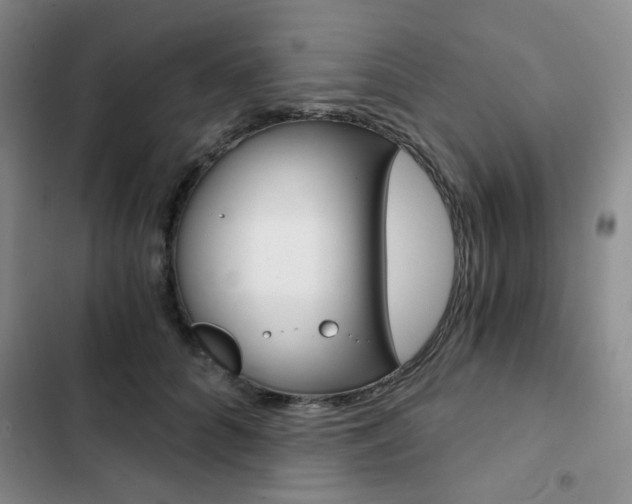X0000102820704200808181025