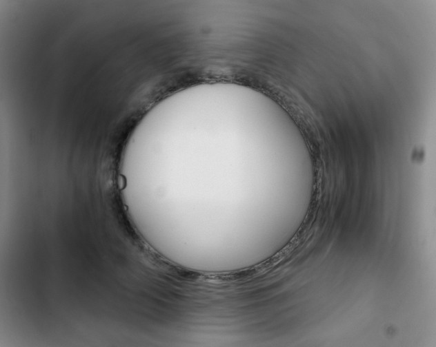 X0000102820706200808181025