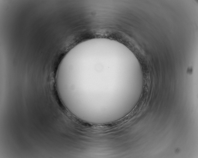 X0000102820707200808181025