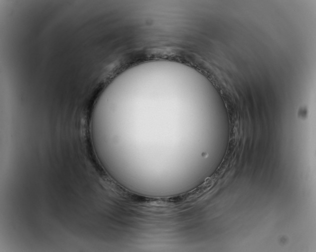 X0000102820708200808181025