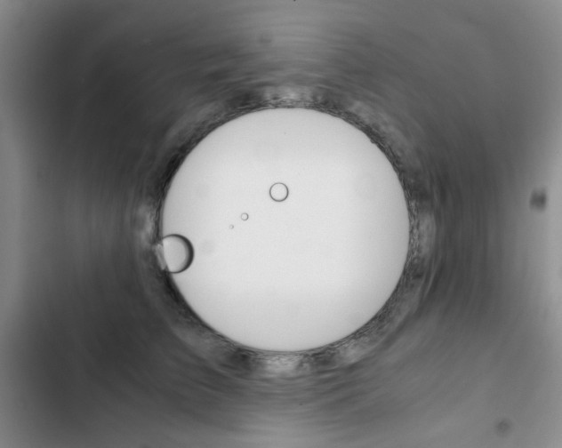 X0000102820709200808181025