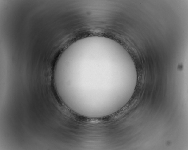 X0000102820710200808181025