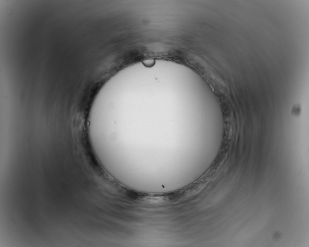 X0000102820711200808181025