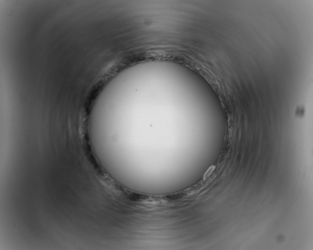 X0000102820712200808181025