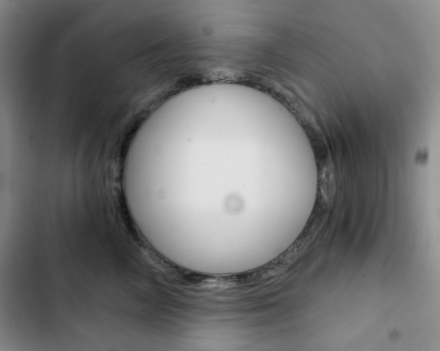 X0000102820714200808181025