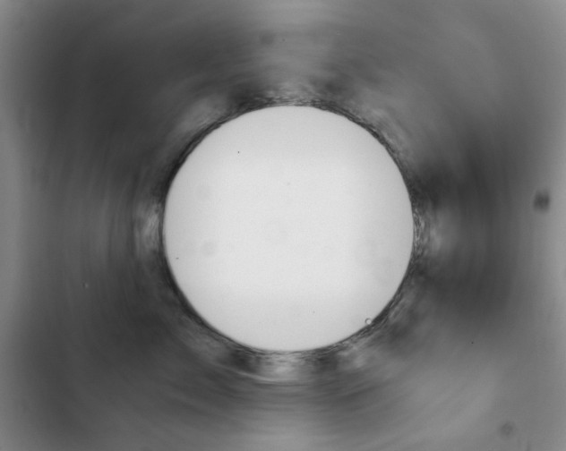 X0000102820717200808181025