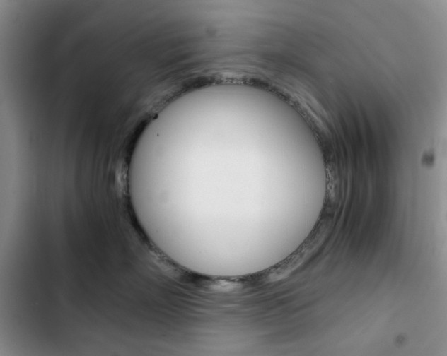 X0000102820718200808181025