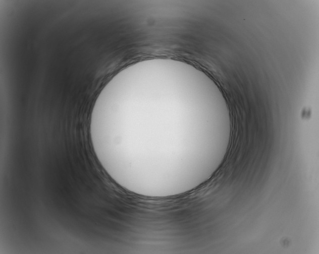 X0000102820720200808181025
