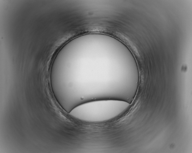 X0000102820721200808181024