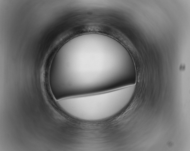 X0000102820722200808181024
