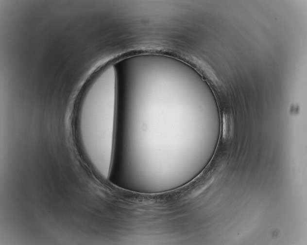 X0000102820723200808181024
