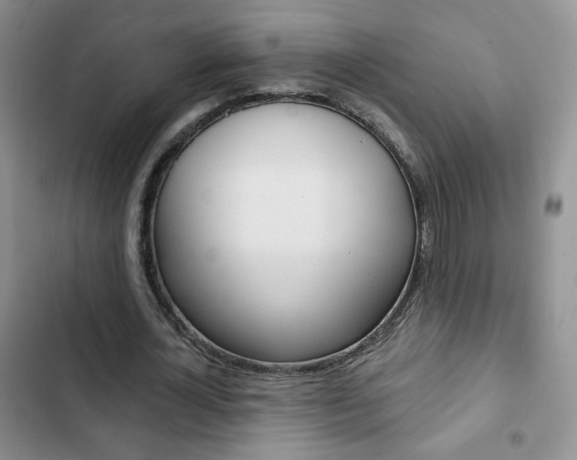X0000102820724200808181024