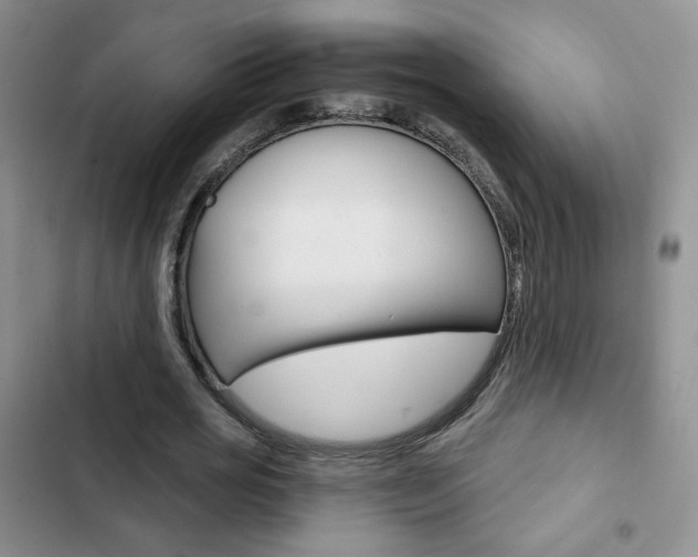 X0000102820725200808181024