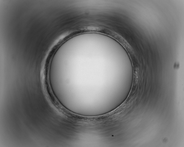 X0000102820726200808181024