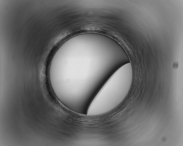 X0000102820727200808181024