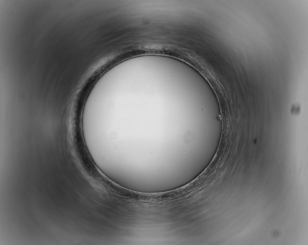 X0000102820728200808181024
