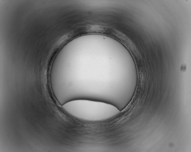 X0000102820729200808181024