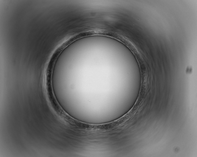 X0000102820730200808181024