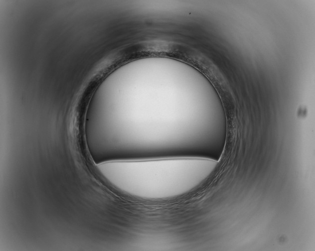 X0000102820731200808181024