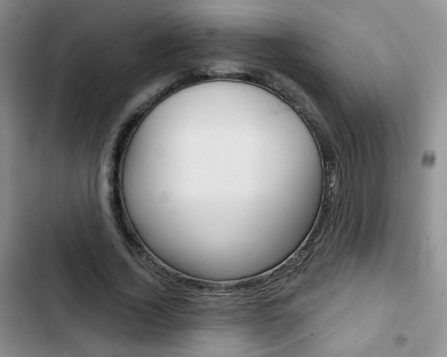 X0000102820732200808181024