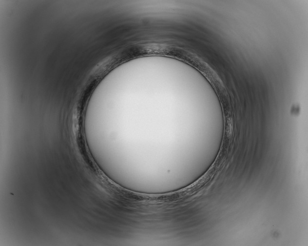 X0000102820733200808181024