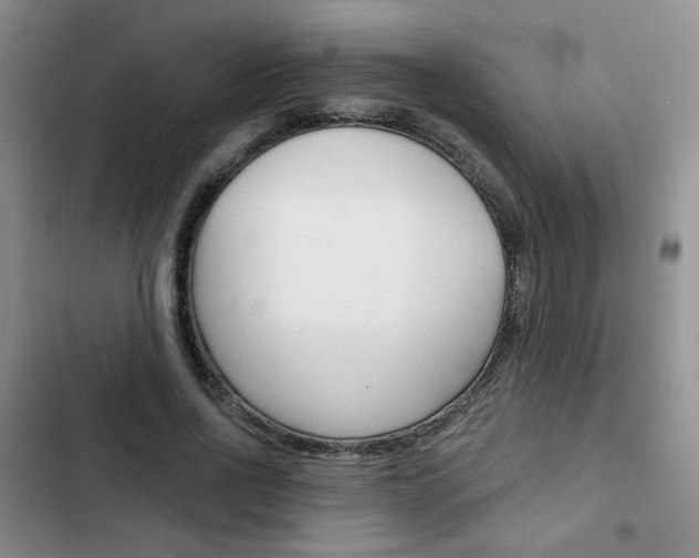 X0000102820734200808181024