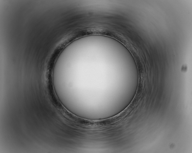 X0000102820735200808181024