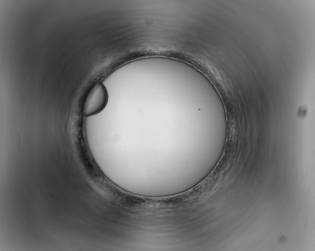X0000102820736200808181024