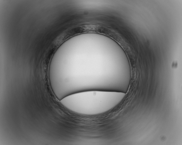 X0000102820737200808181024
