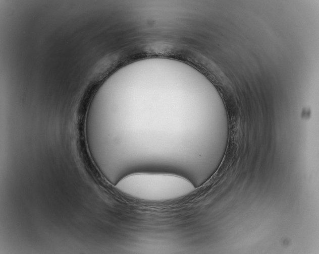 X0000102820738200808181024