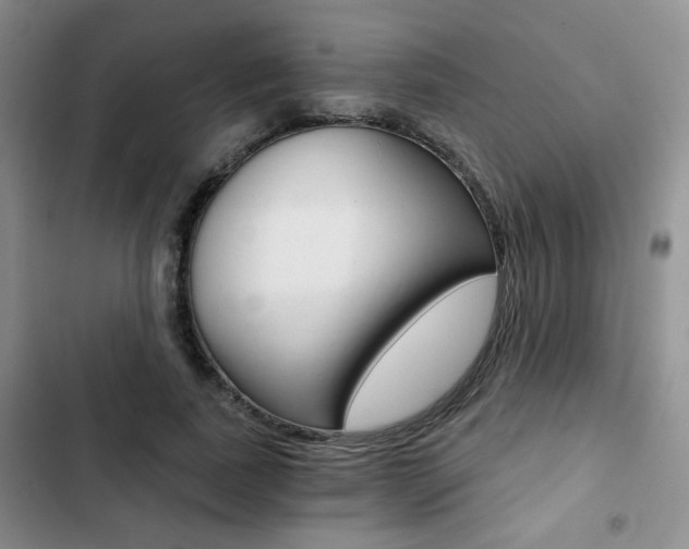 X0000102820739200808181024