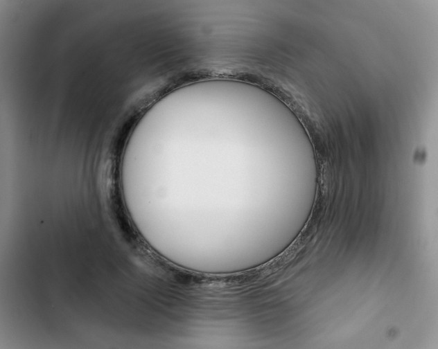 X0000102820740200808181024