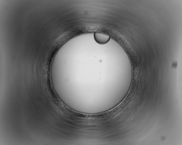 X0000102820741200808181024
