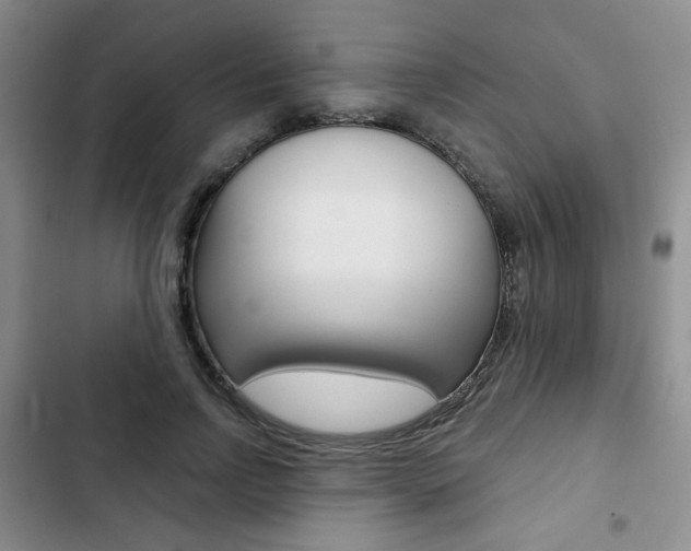 X0000102820742200808181024