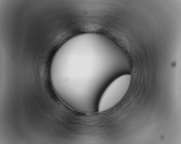 X0000102820743200808181024