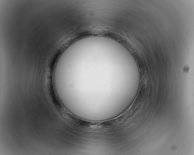 X0000102820744200808181024