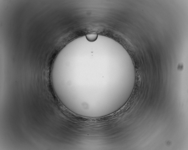 X0000102820745200808181024
